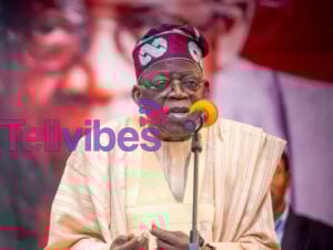 Tinubu list of states that were excluded for Ministers.