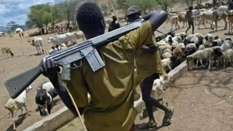 Targeted for His Land: The Unheard Struggle of an Edo Farmer